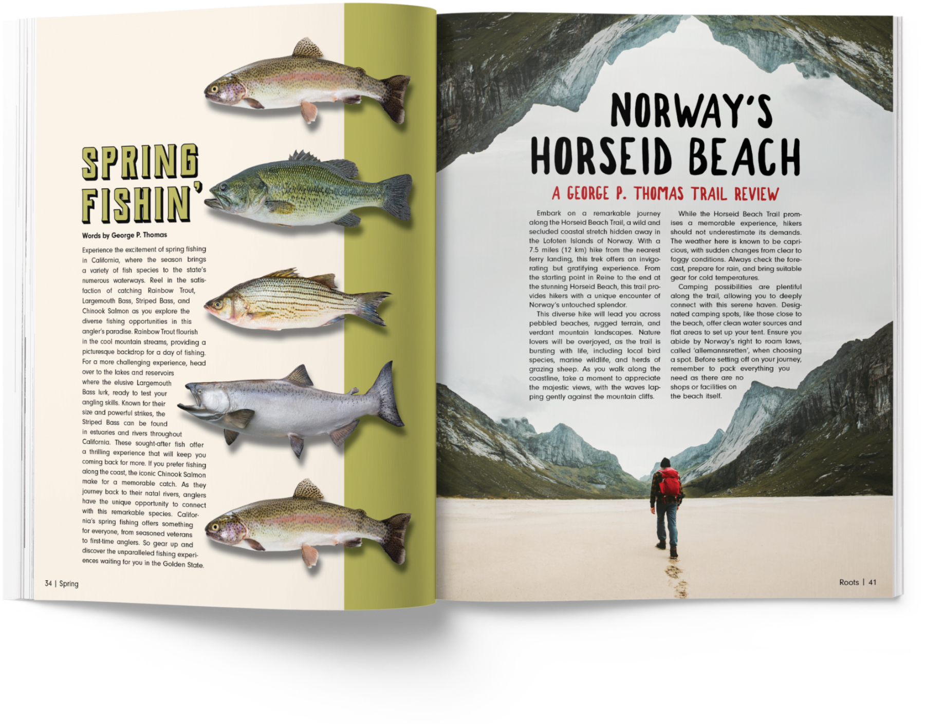 "Magazine" Pages — photo 2 of 5