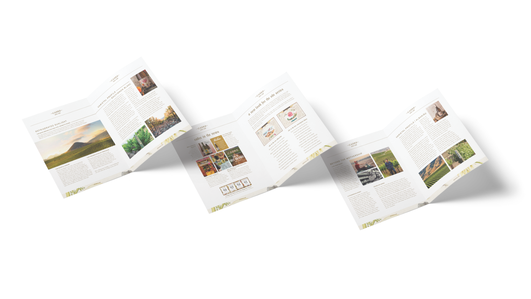Wine Club Newsletters — photo 1 of 1