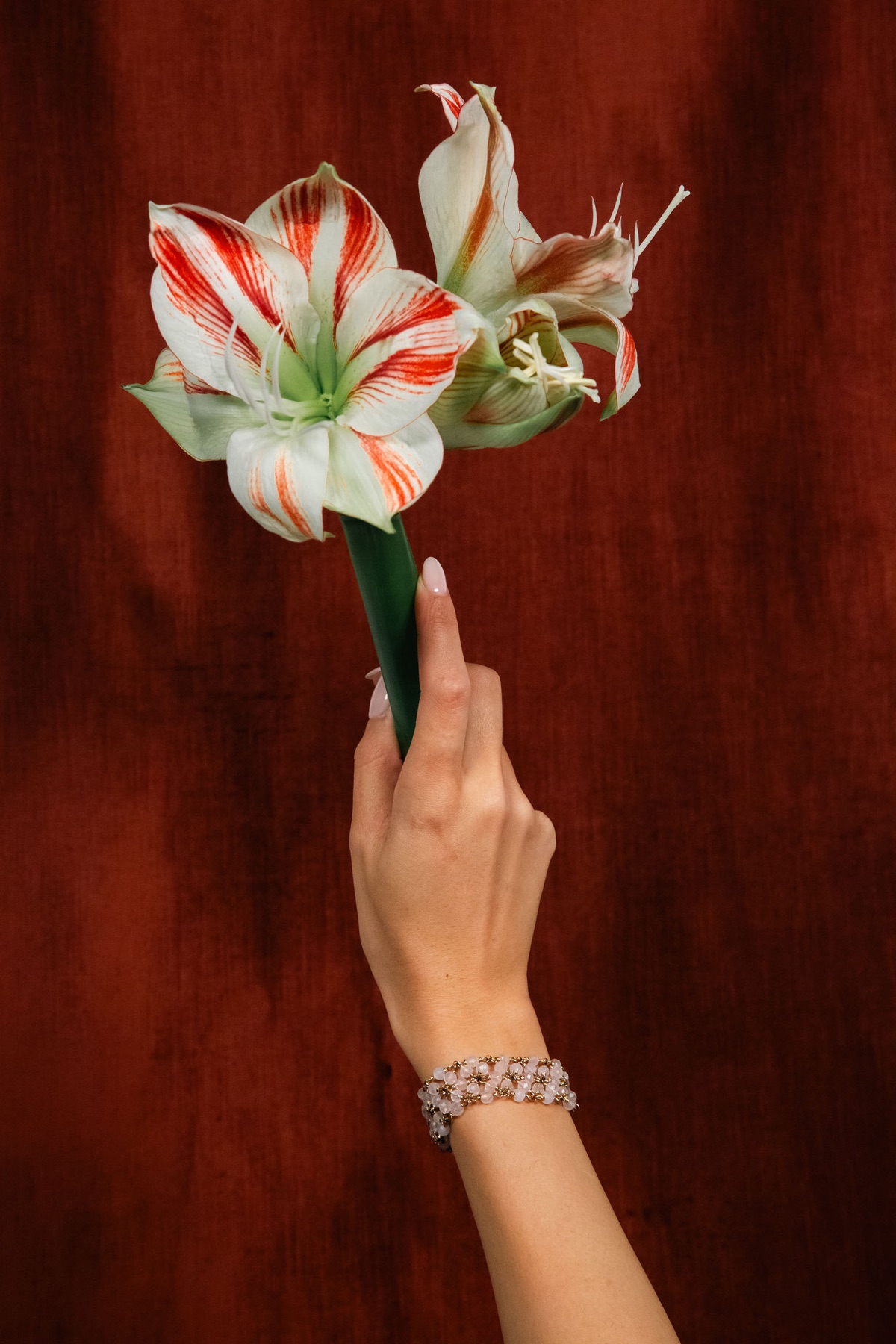Jewels by Petra — photo 12 of 14