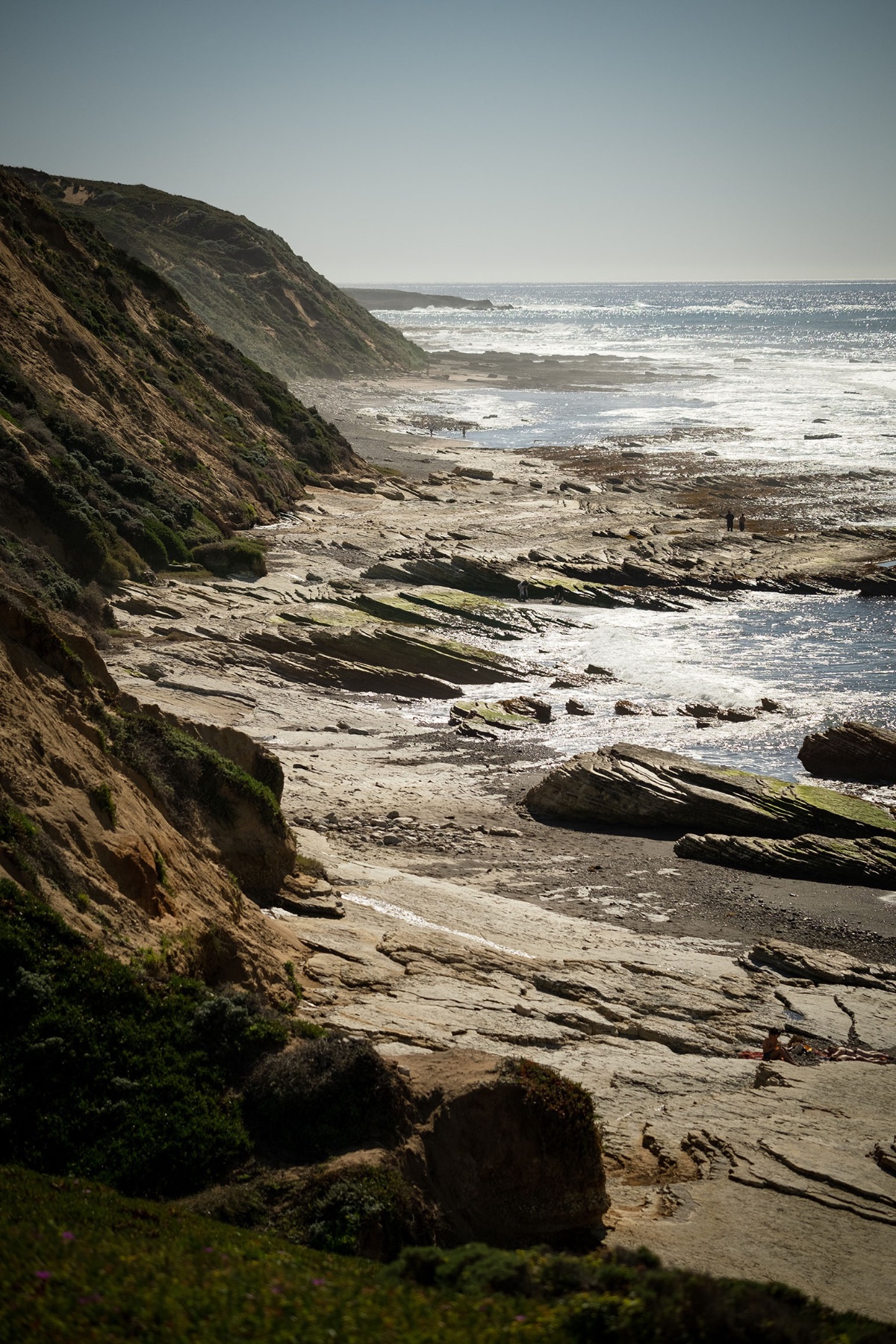 Landscape — photo 6 of 14