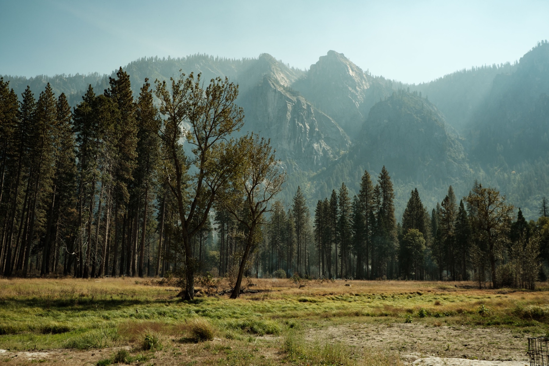 Landscape — photo 10 of 14