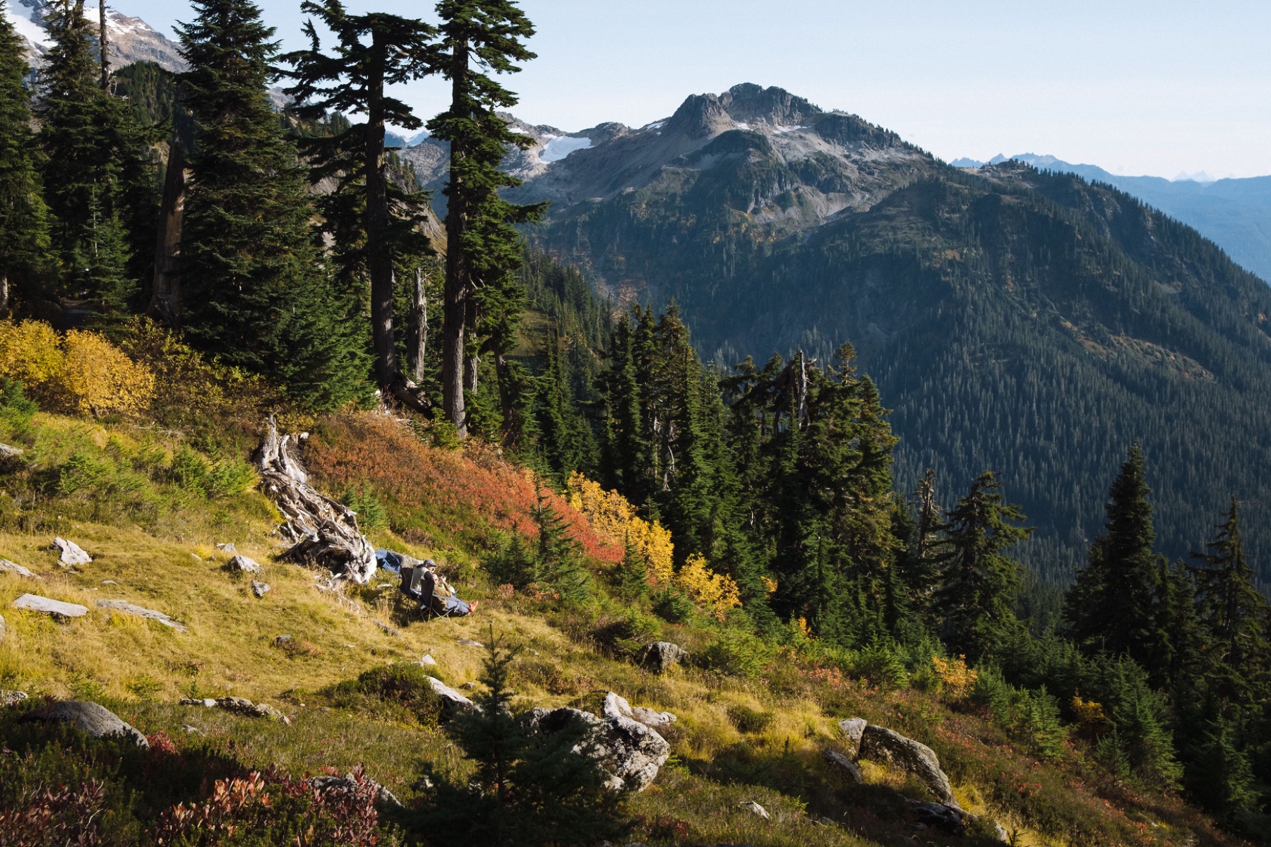 Landscape — photo 9 of 14