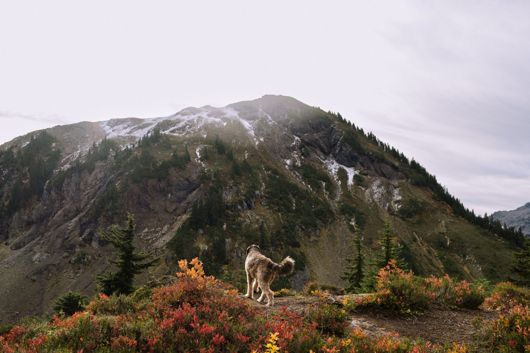 Landscape — photo 4 of 14