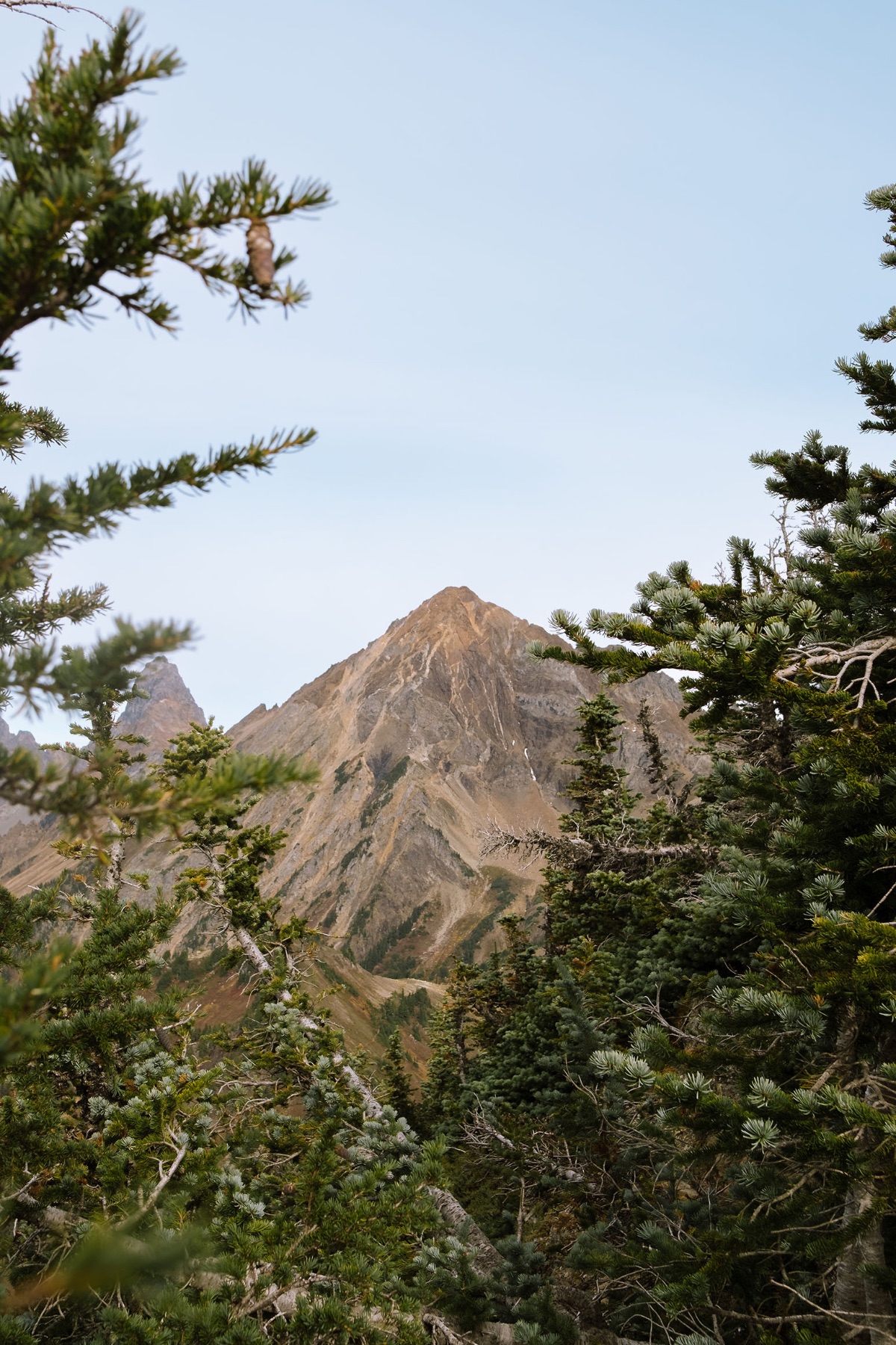 Landscape — photo 14 of 14