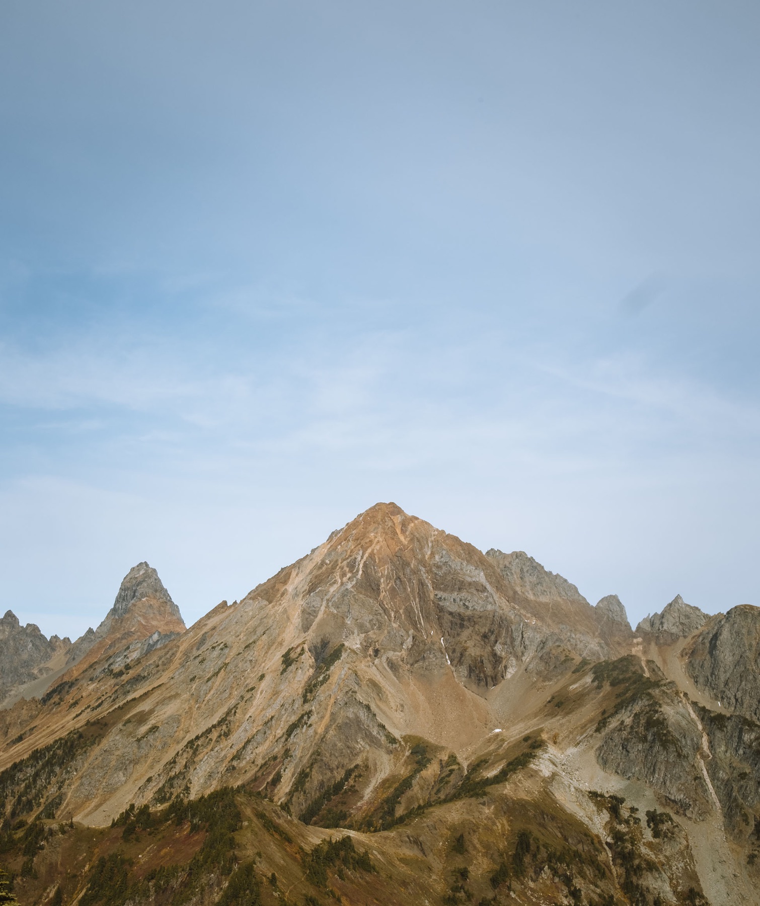 Landscape — project cover