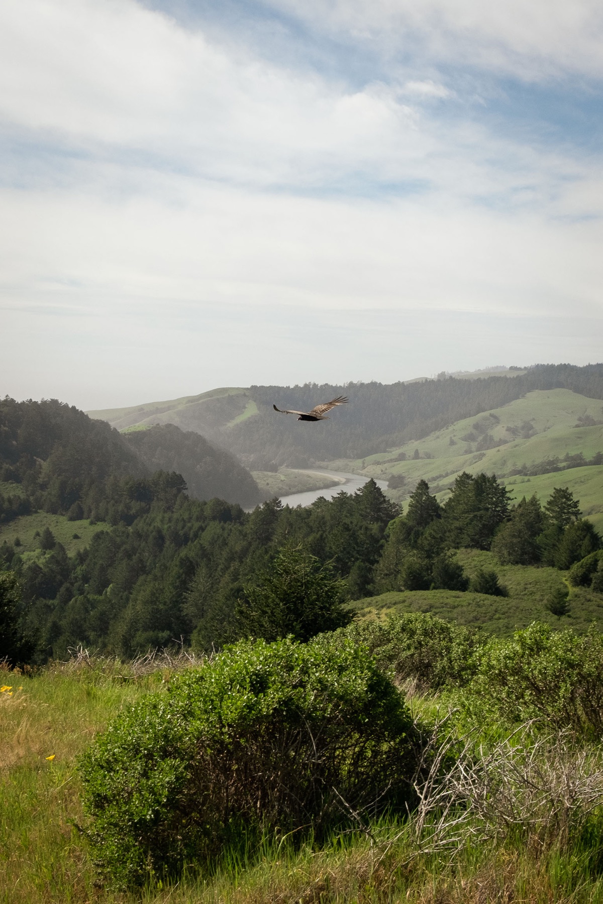 Landscape — photo 7 of 14