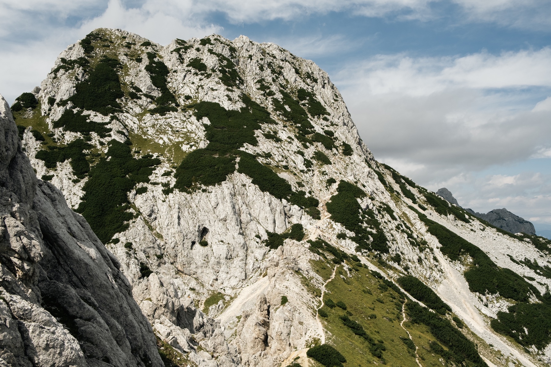 Landscape — photo 2 of 25