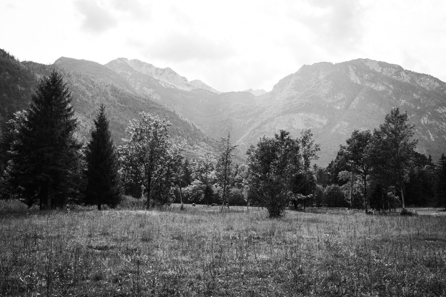Landscape — photo 9 of 25