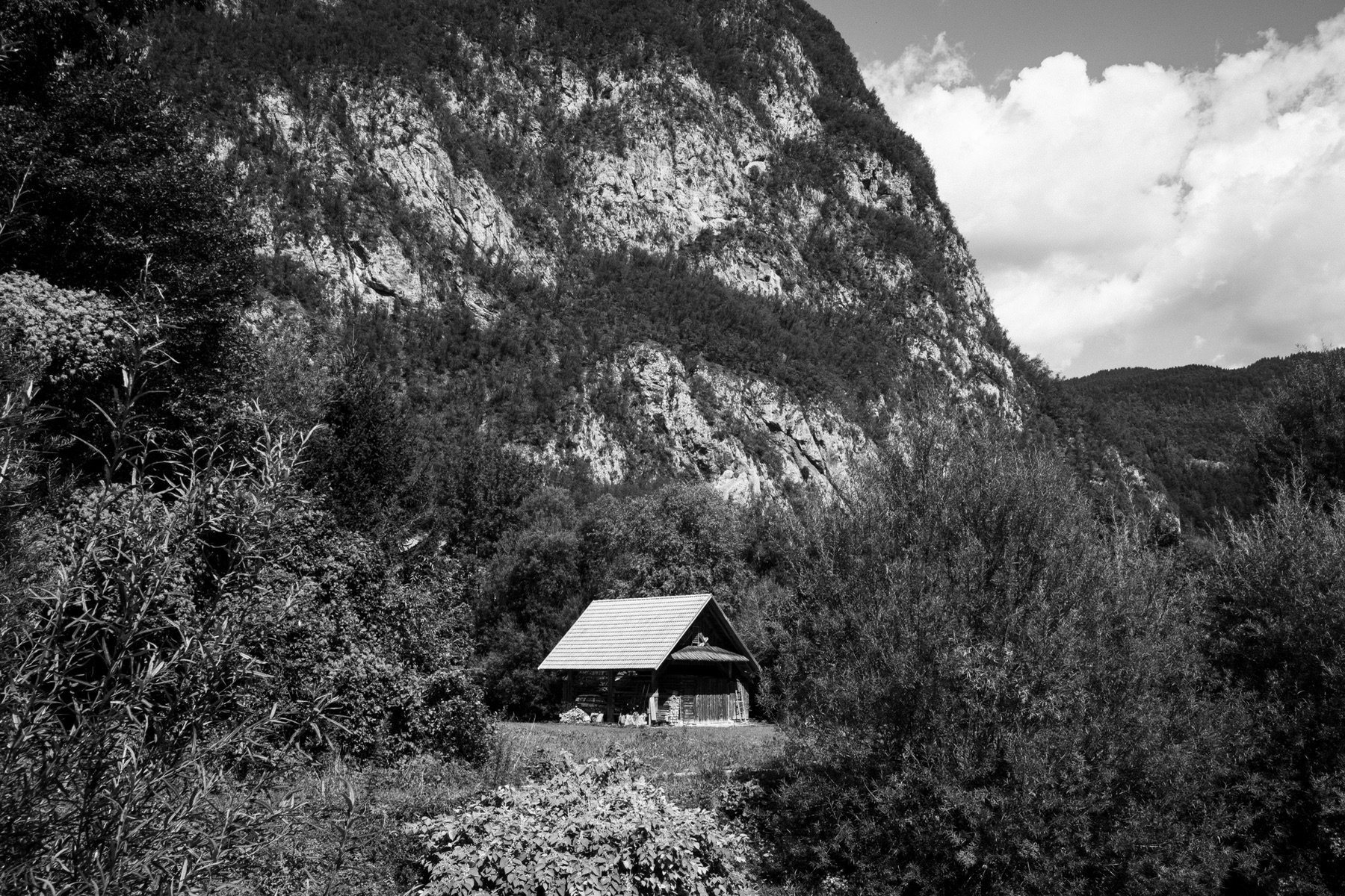 Landscape — photo 25 of 25
