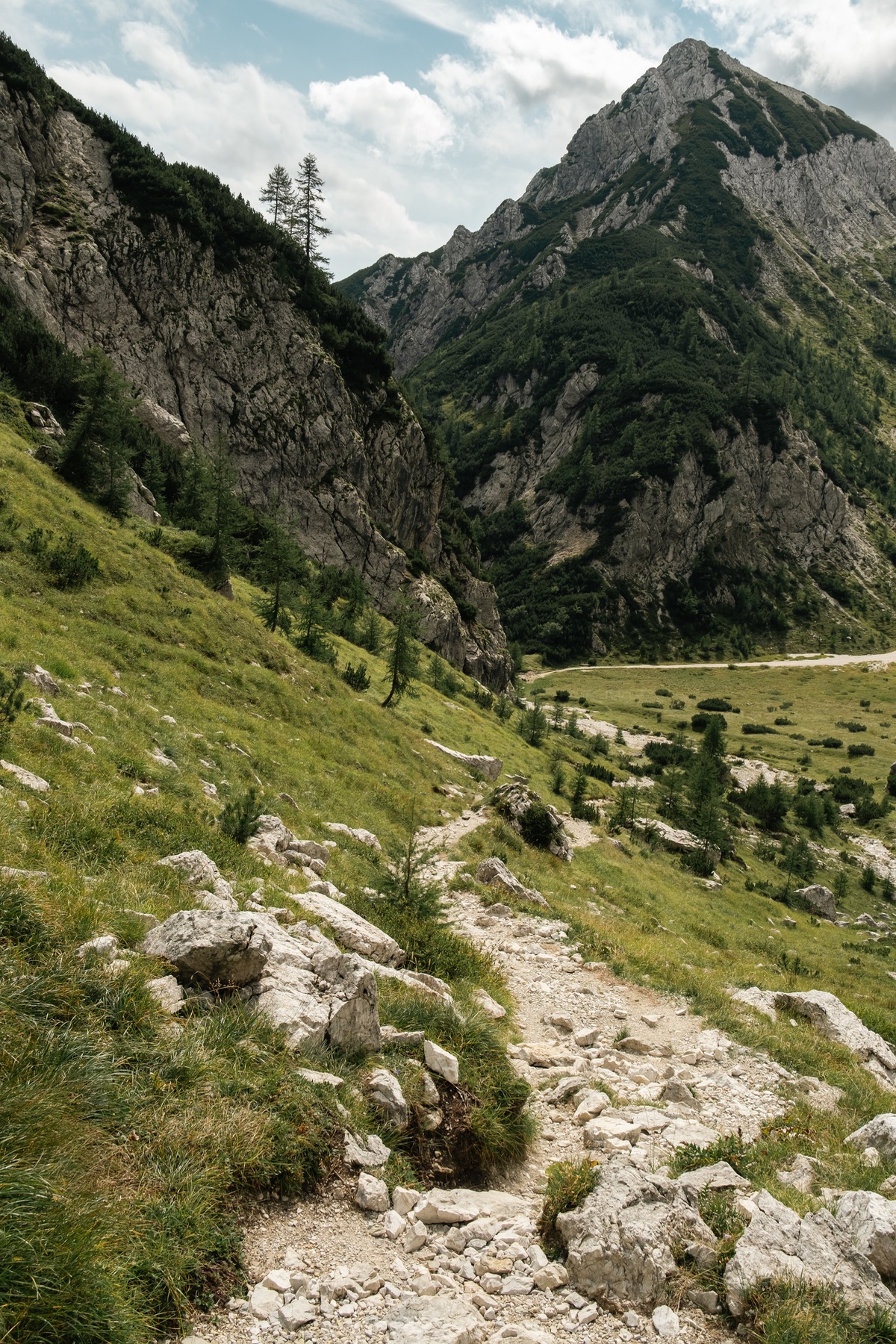 Landscape — photo 7 of 25