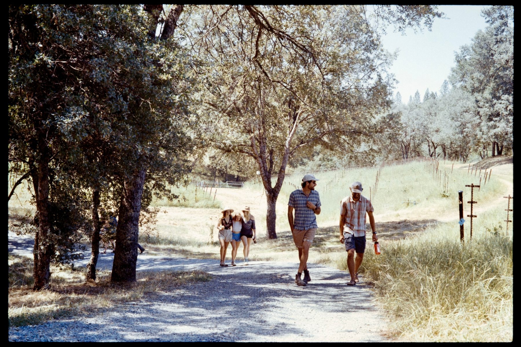 My Life on Film — photo 7 of 61