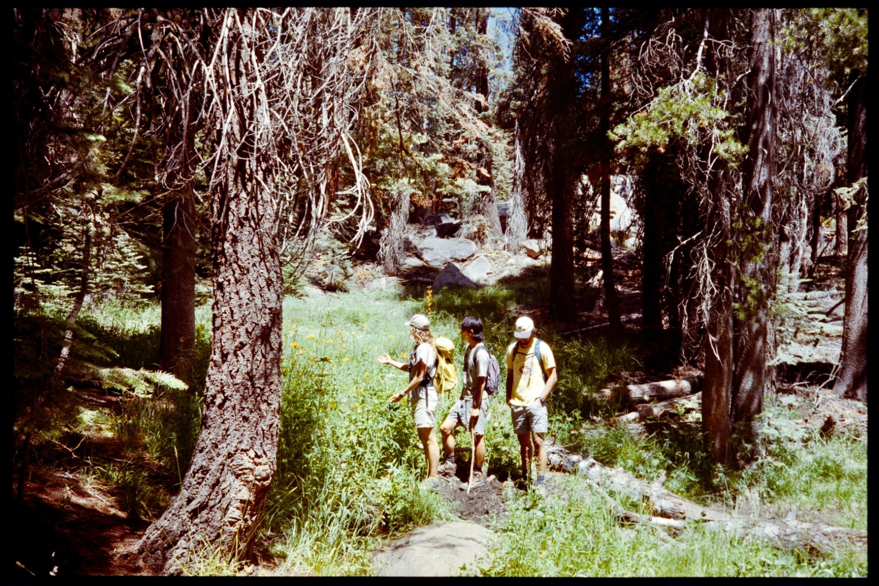 My Life on Film — photo 3 of 61