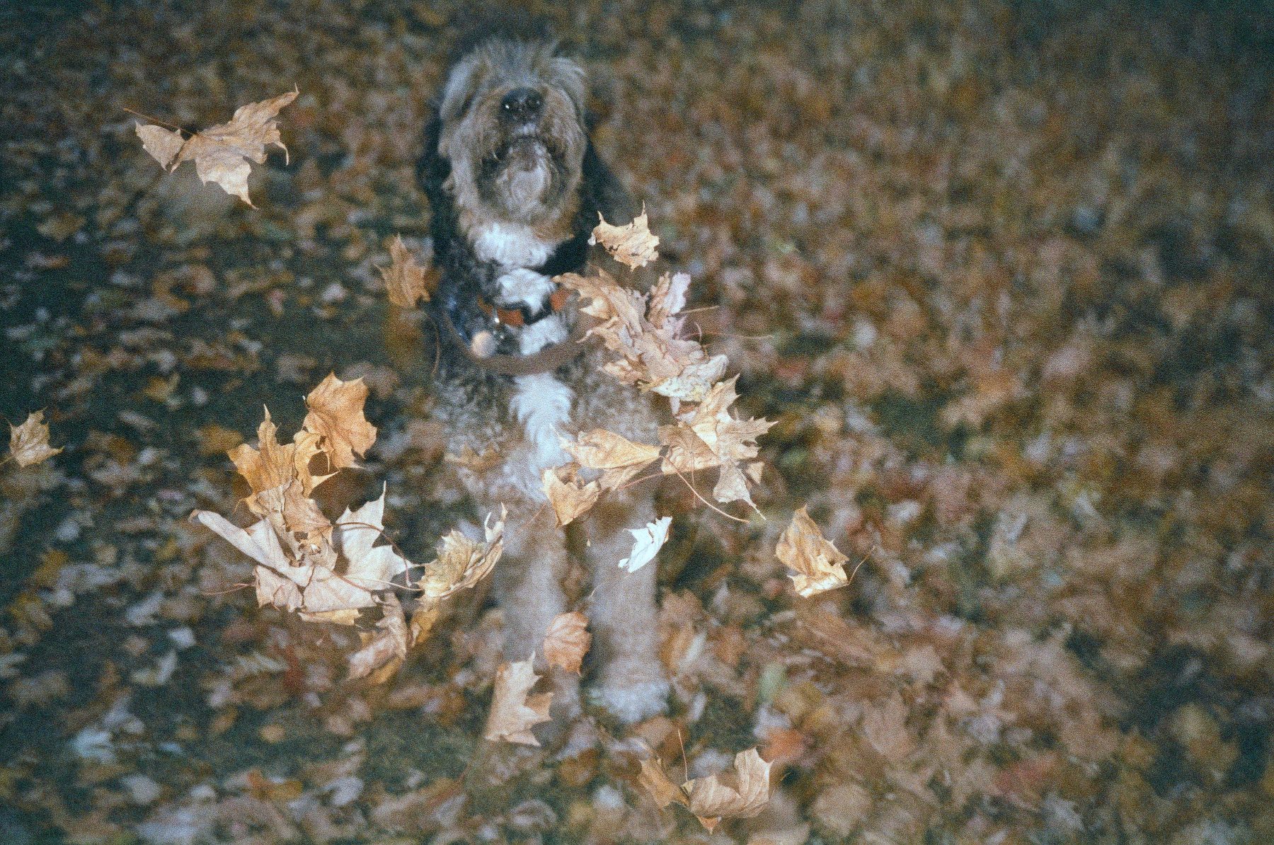 My Life on Film — photo 31 of 61