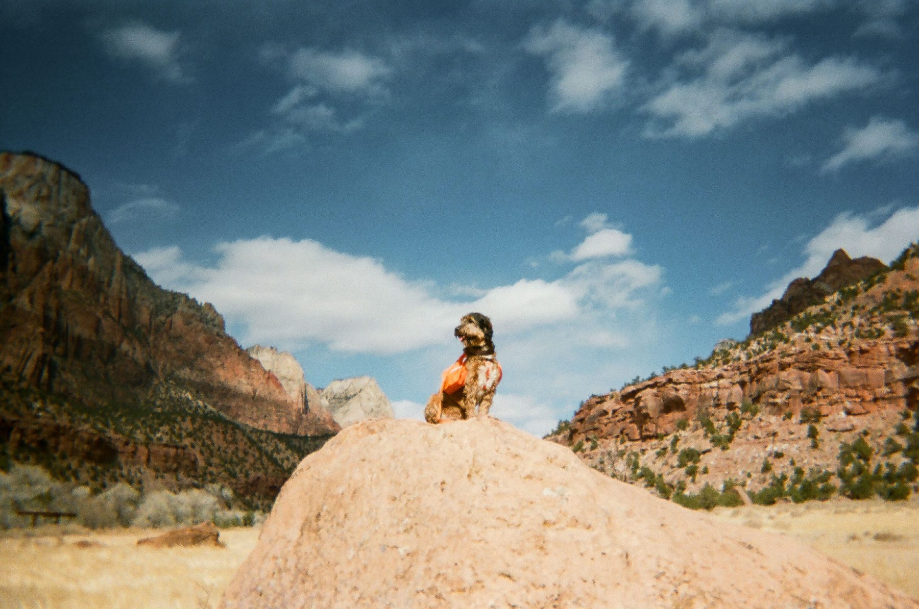 My Life on Film — photo 41 of 61