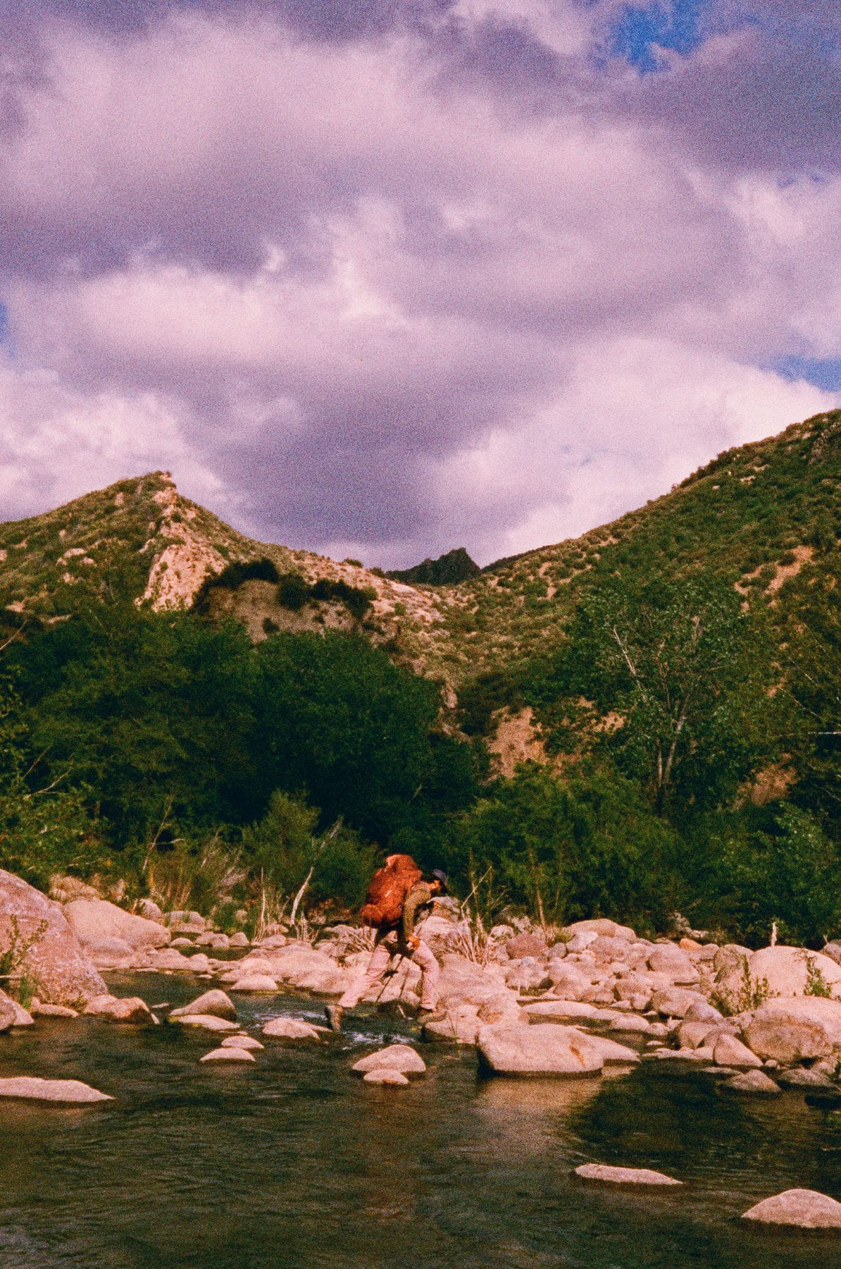 My Life on Film — photo 44 of 61