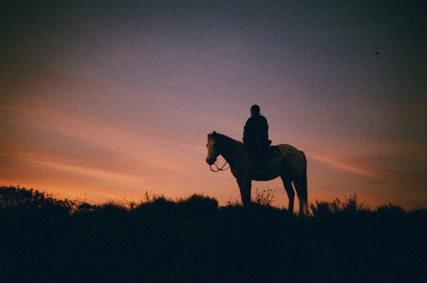 My Life on Film — photo 45 of 61