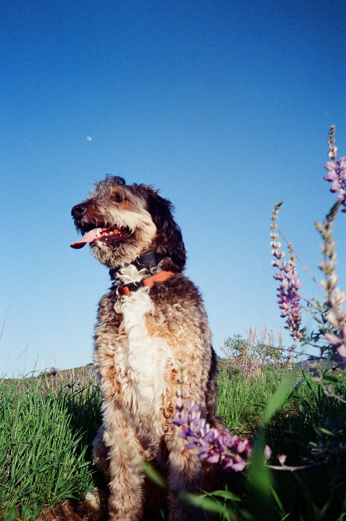 My Life on Film — photo 56 of 61