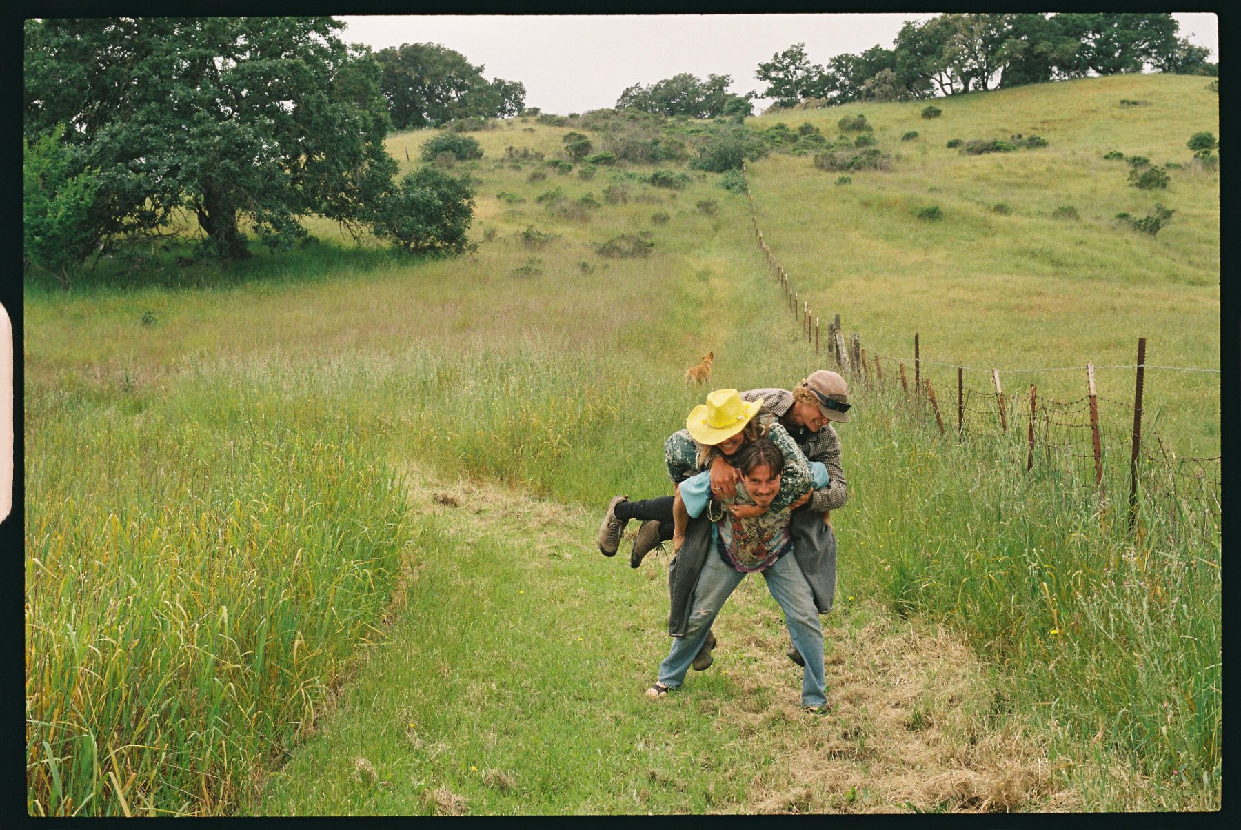 My Life on Film — photo 59 of 61