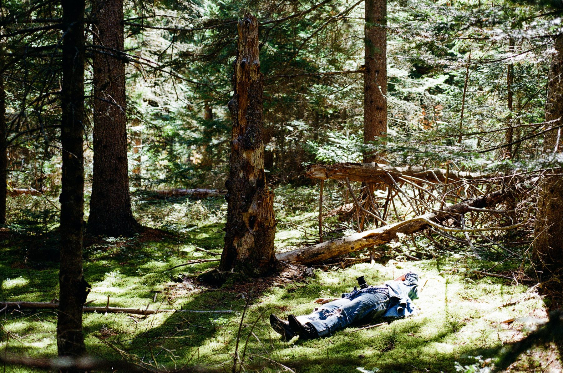 My Life on Film — photo 22 of 61